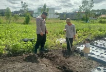 Polsek Bukit Data Lahan Produktif