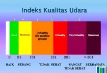 Kenali Apa Itu Kualitas Udara dan Faktor-Faktor yang Mempengaruhinya
