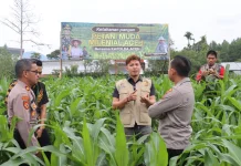 Kapolres Aceh Tengah Tinjau Perkembangan Tanaman Jagung Program Ketahanan Panga