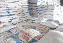 Harga Pupuk Dunia Naik, Pemerintah Turunkan Pupuk Subsidi 20 Persen Demi Ketahanan