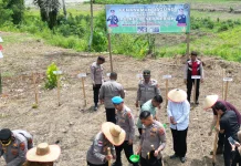 Polres Bener Meriah Dukung Swasembada Pangan Melalui Penanaman Jagung Kuartal II
