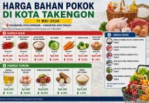Cabai Merah di Takengon Tembus Rp40 Ribu