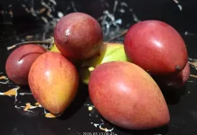 Manfaat Jus Buah Terong Belanda untuk Kesehatan Tubuh
