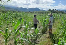 Dukung Ketahanan Pangan, Polsubsektor Gajah Putih Data Lahan Produktif