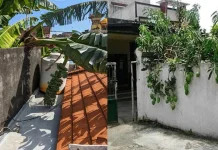 Buah yang Menjalar ke Lahan Tetangga Milik Siapa?