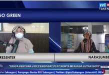 Tutupan Hutan Aceh Tengah Hilang Hampir 7.000 Hektare