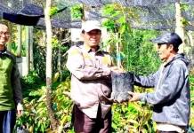 Wakil Bupati Gayo Lues Serahkan Bibit Durian untuk Kelompok Tani di Desa Palok