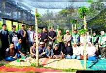 Peluang ekspor Asia, Pemkab Gayo Lues Mulai Kembangkan Kawasan Durian