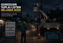 Gangguan Suplai Listrik Melanda Wilayah Aceh, Ratusan Personel PLN Dikerahkan