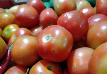 Jelang Iduladha, Harga Tomat  di Pasar Simpang Balik Tembus Rp20 Ribu per Kilogram