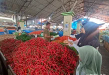 Harga Kebutuhan Pokok di Takengon: Daging dan Cabai Naik, Udang dan Beras Turun