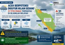 Aceh Berpotensi Diguyur Hujan Sedang Siang Ini, 31 Titik Panas Terpantau di Aceh