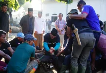 Sapi Limosin 824 Kg Bantuan Presiden Dipotong di Takengon