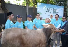 Iduladha 1447 H, ASN Itjen Kemenag dan Baznas Salurkan 4 Sapi dan 17 Kambing