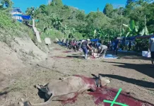 IKADI Aceh Tengah Salurkan 1.130 Paket Daging Kurban hingga Wilayah Linge