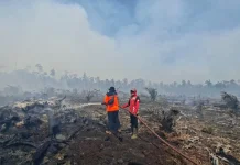 Karhutla Masih Dominasi, Puluhan Hektare Lahan Terbakar di Tiga Kabupaten Aceh