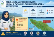 BMKG Deteksi Dua Titik Panas di Kecamatan Linge, Aceh Tengah