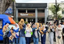 Cat Lovers Banda Aceh Aktif Selamatkan Kucing Terlantar Melalui Aksi Sosial