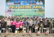 Polda Aceh Luncurkan Program Penanaman Jagung Bersama Petani Muda Milenial
