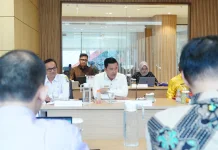Bupati Haili Usul Penguatan Infrastruktur Kesehatan ke Menkes