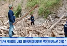 LPHK Negeri Linge Bergerak Pulihkan Hutan dan Sumber Air Pasca Bencana