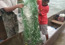 Hasan Sulaiman Panen Ikan Depik di Danau Lut Tawar