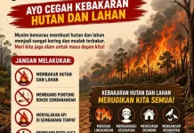 Waspada Musim Kemarau: BPBD Bener Meriah Serukan Cegah Kebakaran Hutan dan Lahan