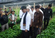 Menteri Pertanian Amran Kunjungi Gayo