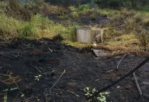 Kebakaran Lahan Seluas Satu Hektare di Timang Gajah Berhasil Dipadamkan