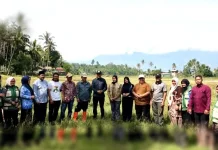 Bupati Gayo Lues Dampingi Kementan Tinjau Program Optimalisasi Lahan