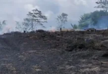 Kebakaran Lahan di Pintu Rime Gayo Berhasil Dipadamkan