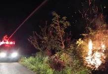 Karhutla Hanguskan Satu Hektare Lahan di Celala