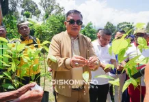 Pemkab Aceh Tenggara Kembangkan Kebun Induk Kakao