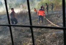 Kebakaran Hanguskan Satu Hektare Lahan di Wih Pesam