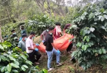 Pria Rembele Ditemukan Meninggal di Kebun Kopi