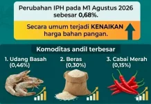 Harga Pangan di Bener Meriah Naik 0,68 Persen