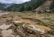 450 Hektare Sawah Rusak Sedang di Gayo Lues Ditargetkan Diperbaiki Tahun Ini