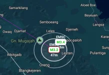 Dua Gempa Berurutan Guncang Gayo Lues