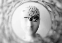 Kecerdasan Praktis, Salah Satu Jenis Kecerdasan yang Lebih Penting daripada IQ