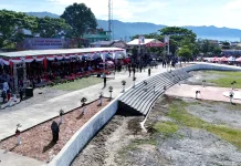 Keindahan Bonsai PPBI Aceh Tengah Warnai HUT RI Ke- 81