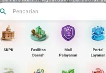 Kominfo Aceh Tengah Satukan Layanan Publik Digital Dalam “Alpukat Gayo”