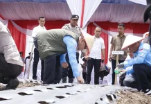 Bener Meriah Targetkan 10 Hektare Lahan Swasembada Bawang Putih