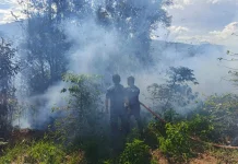 Karhutla Hanguskan Sekitar Satu Hektare Lahan di Atu Lintang