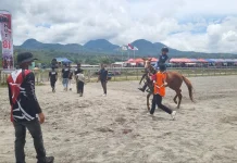 Event Pacuan Kuda Gayo Bergulir