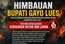 BPBD Gayo Lues Imbau Warga Waspada Karhutla