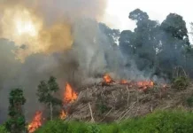 Sebanyak 29 Titik Panas Terdeteksi di Aceh tengah dan Gayo Lues