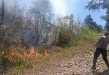 Polsek Bukit dan Warga Padamkan Kebakaran Lahan di Tingkem Bersatu