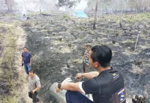 Kebakaran Lahan di Weh Pesam Bener Meriah Hanguskan 20 Hektare Hutan