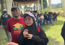 Populasi Gajah Menurun, FK-PECI: Penanganan Konflik Belum Memuaskan