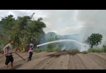 Kebakaran Hutan dan Lahan Kembali Terjadi di Aceh Tengah